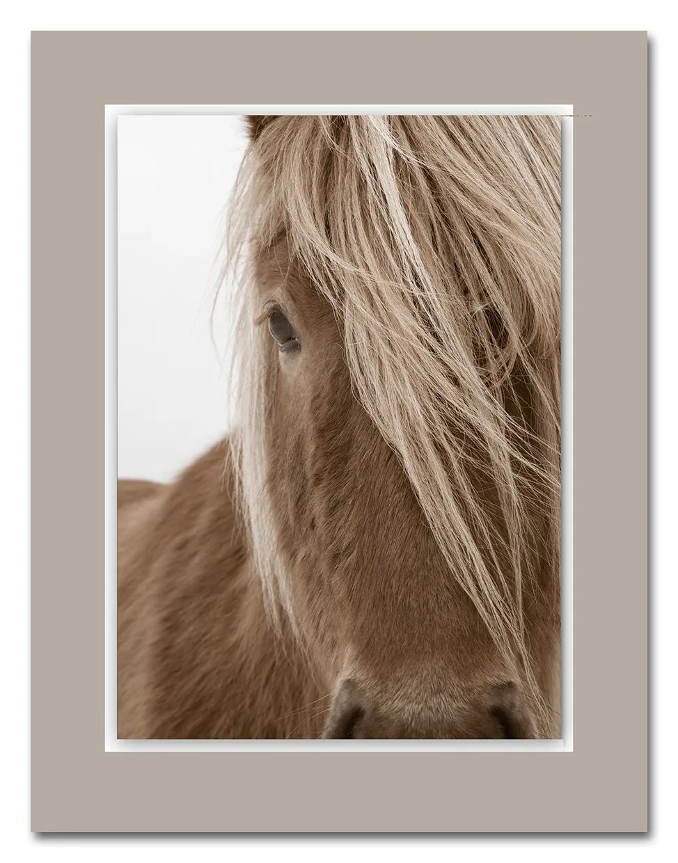 Acrylglasbild ALUDIBOND 166174