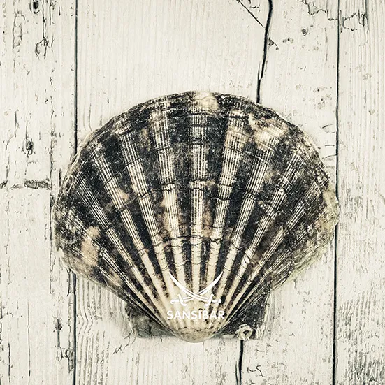 Acrylglasbild SANSIBAR Living 682105