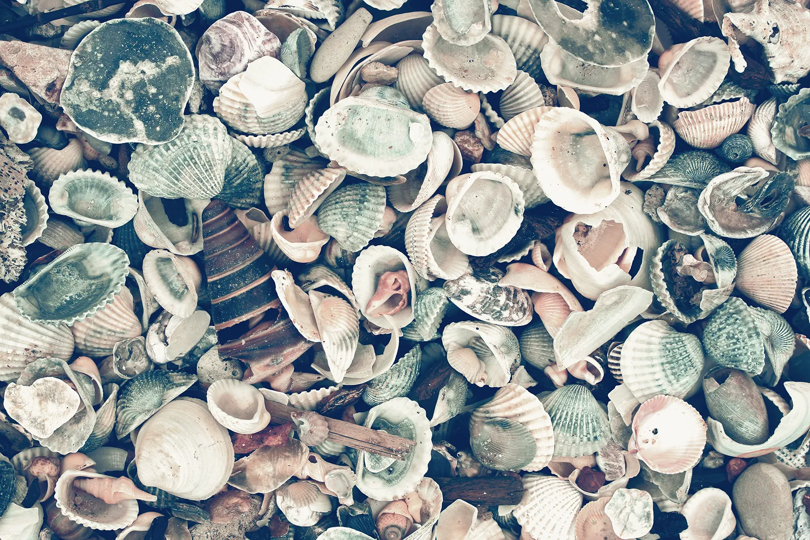 Acrylglasbild Sylt 682147