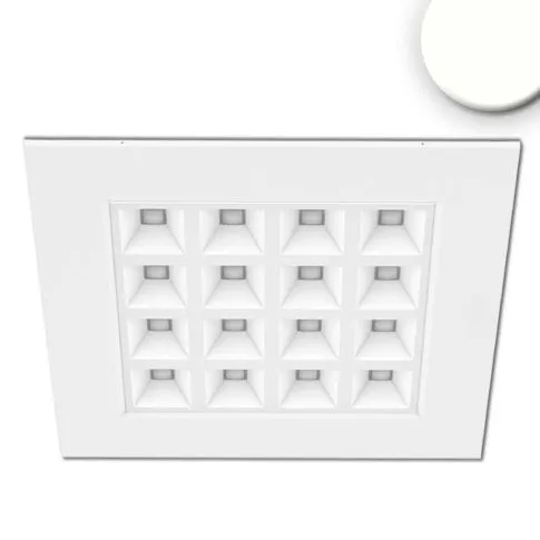 ISOLED LED Panel UGR>16 Line 625 36W - Lichtfarbe neutralweiß