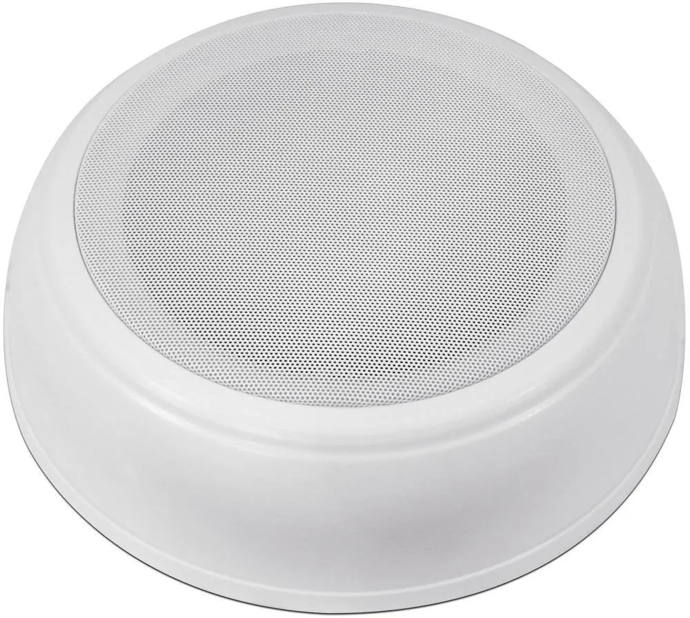 OMNITRONIC DAL-2 Deckenlautsprecher