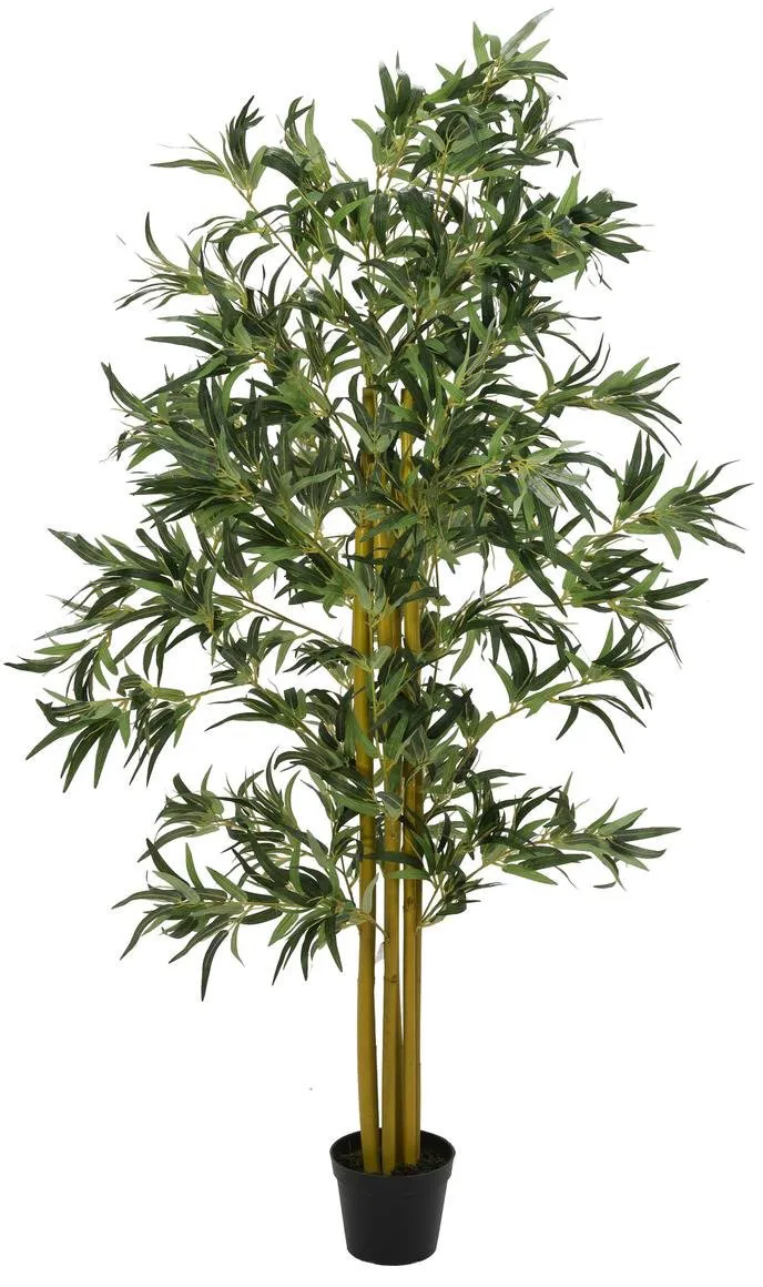 EUROPALMS Bambus Multistamm, 180cm