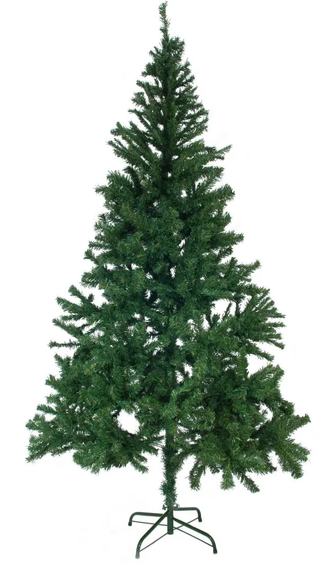 EUROPALMS Tannenbaum, 210cm