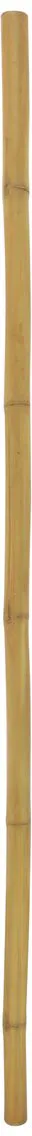 EUROPALMS Bambusrohr, Ø=5cm, 200cm