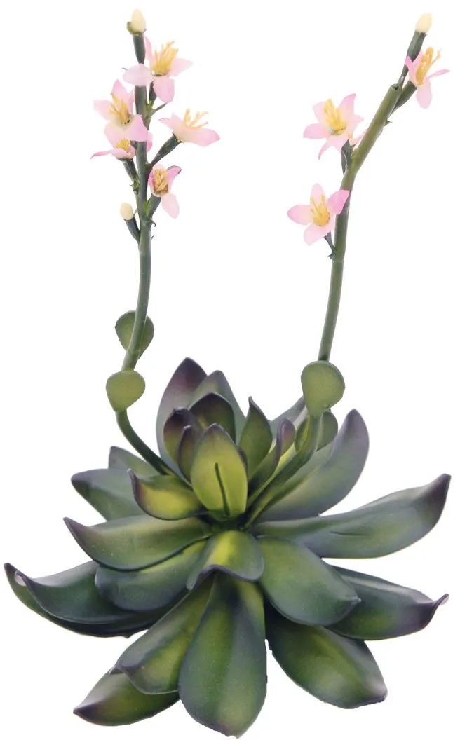 EUROPALMS Steinrose (EVA), pink, 32cm