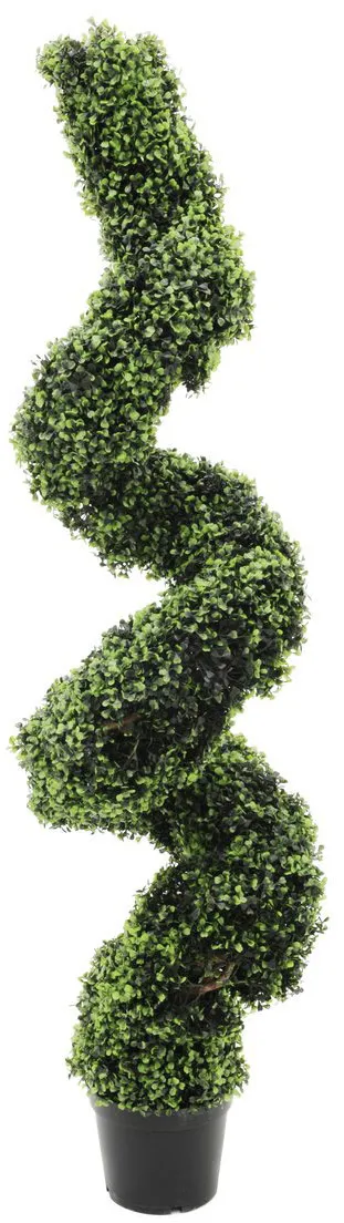 EUROPALMS Buchsspiralbaum, 150cm