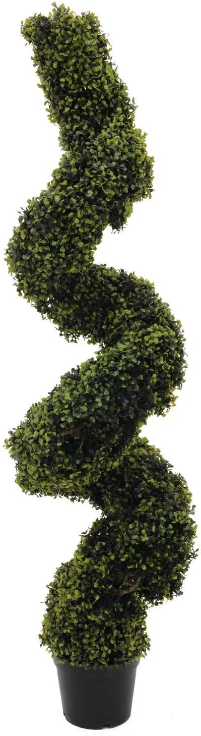 EUROPALMS Buchsspiralbaum, 180cm
