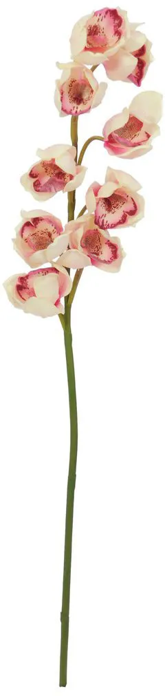 EUROPALMS Cymbidiumzweig, creme-pink, 90cm
