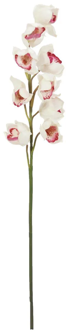 EUROPALMS Cymbidiumzweig, weiß-pink, 90cm