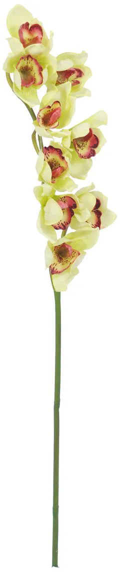 EUROPALMS Cymbidiumzweig, grün, 90cm
