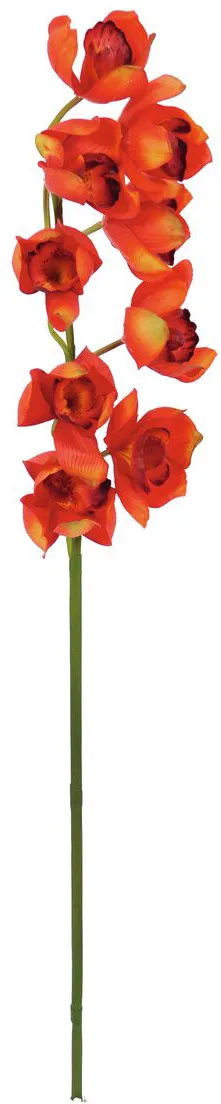 EUROPALMS Cymbidiumzweig, rot, 90cm