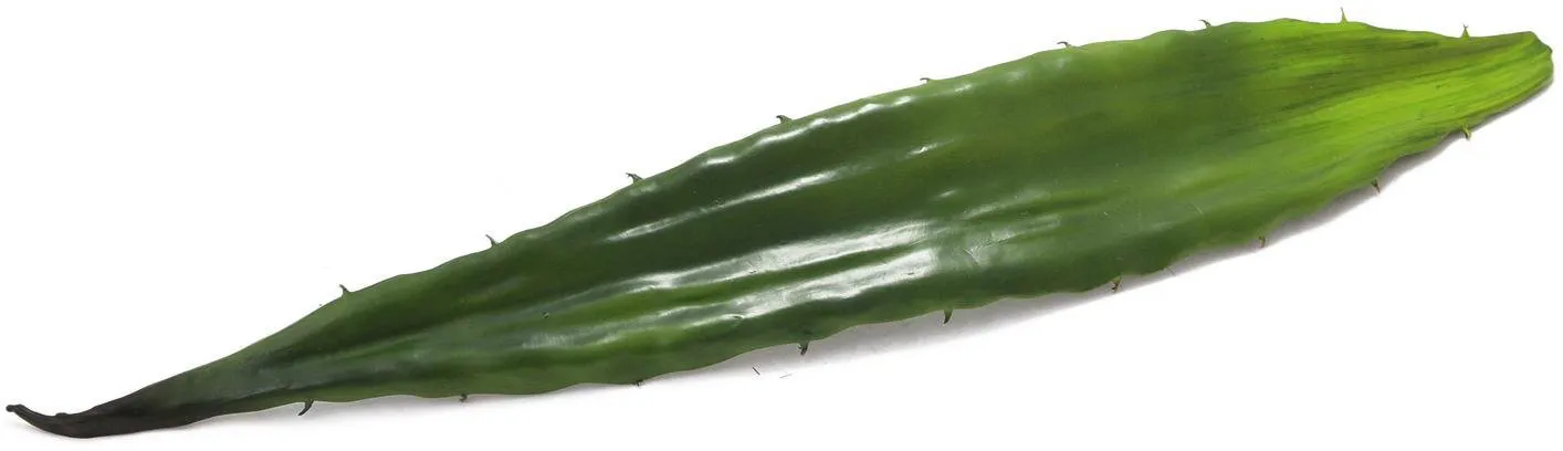 EUROPALMS Aloeblatt (EVA), grün, 60cm