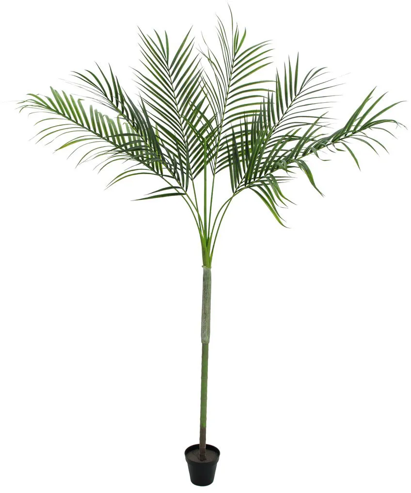EUROPALMS Areca deluxe, 180cm