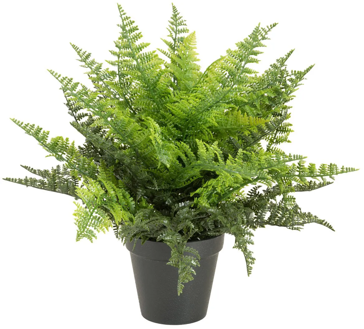EUROPALMS Farnbusch im Dekotopf, 51 Blätter, 48cm