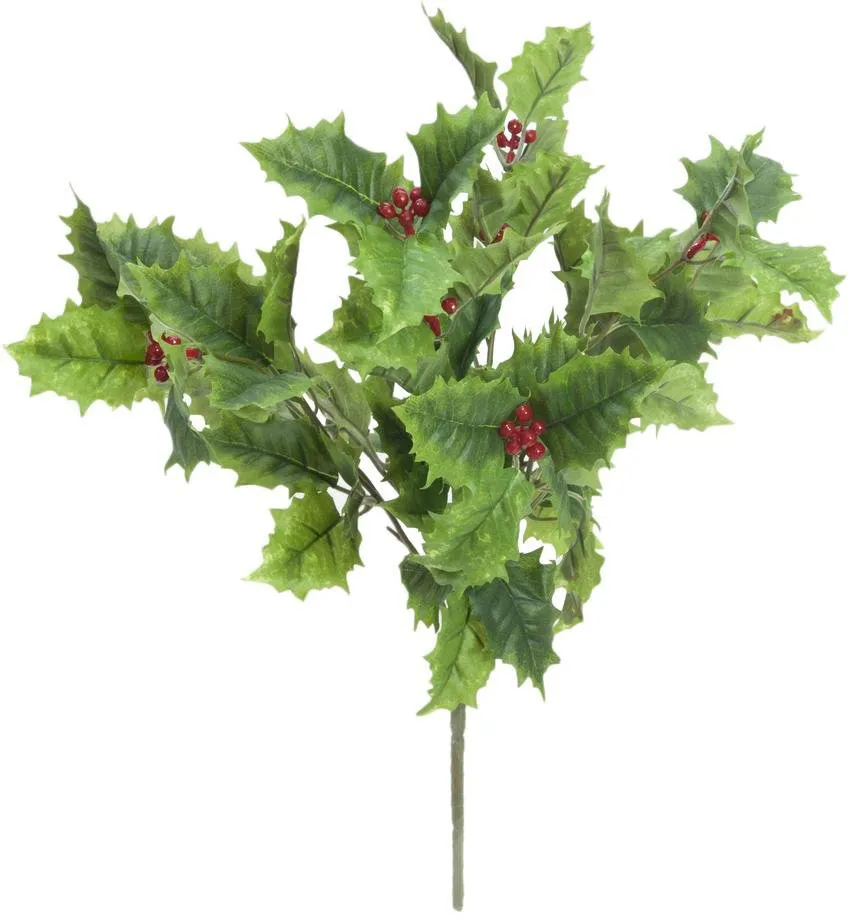 EUROPALMS Stechlaub 43cm