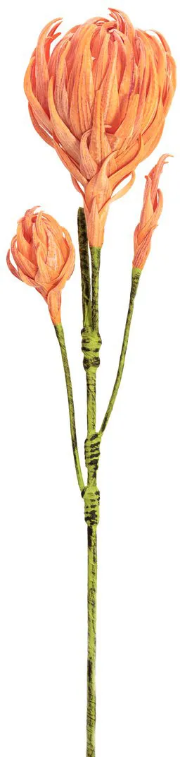 EUROPALMS Dahlienzweig (EVA), orange