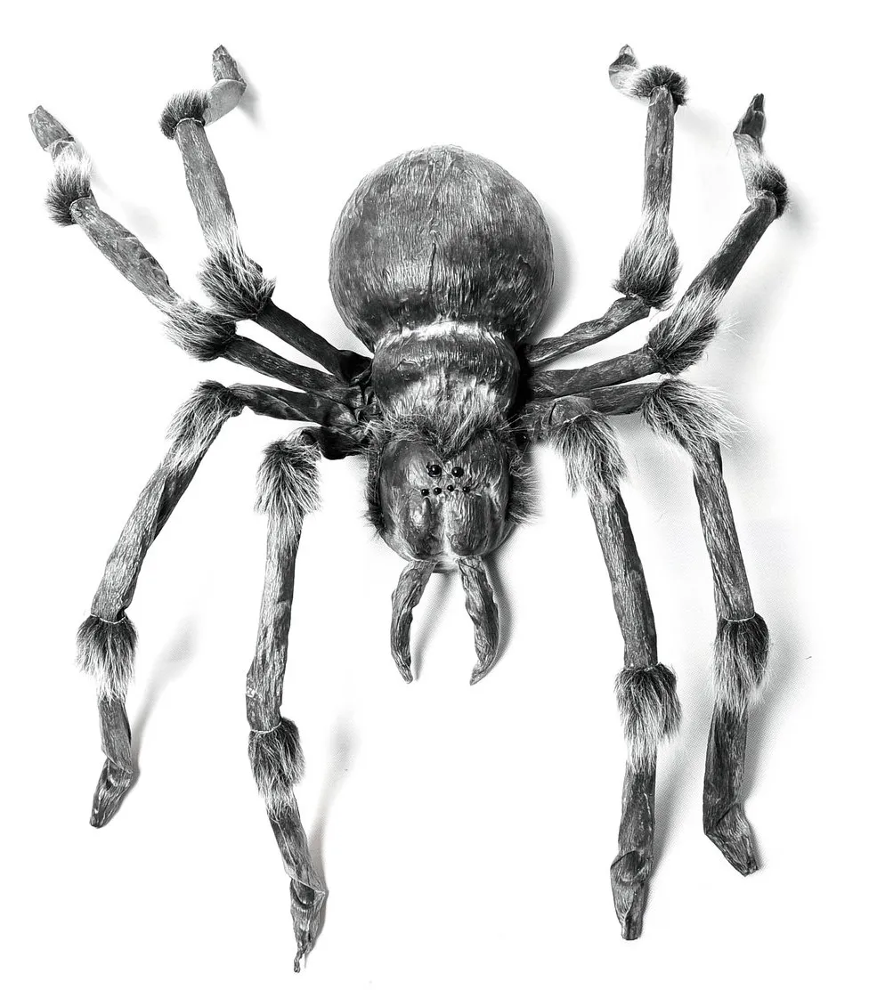 EUROPALMS Monsterspider ca.130cm