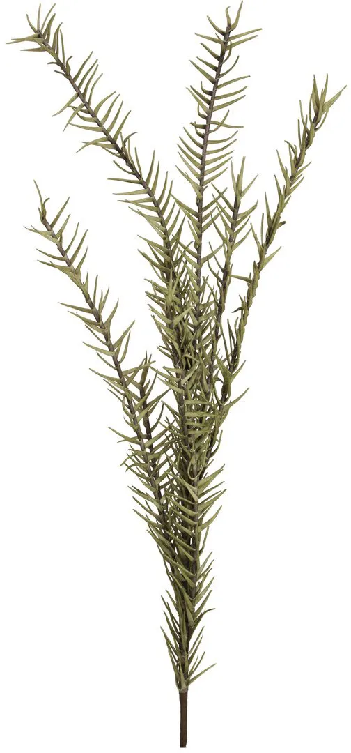 EUROPALMS Rosmarinzweig (EVA), grün