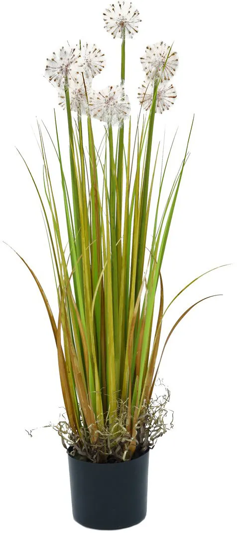 EUROPALMS Pusteblume, 107cm