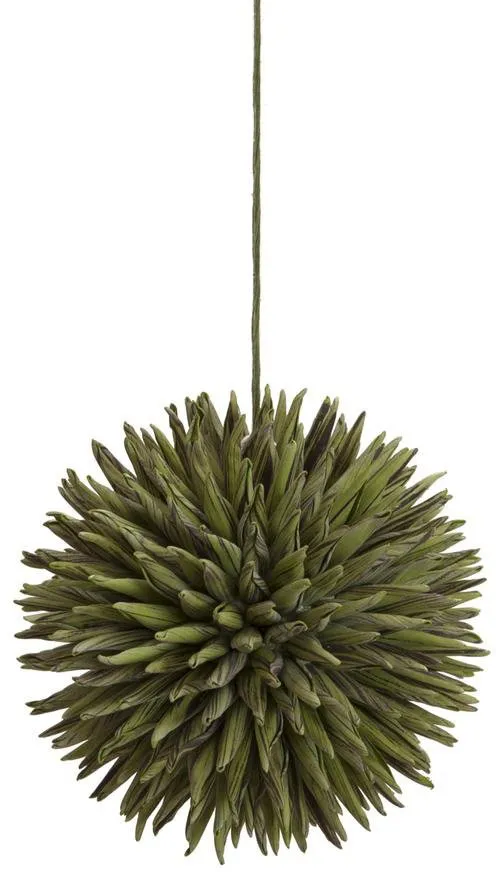 EUROPALMS Sukkulenten Kugel (EVA), grün, 16cm