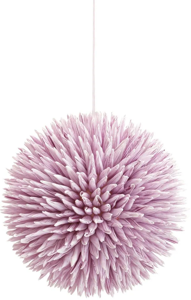 EUROPALMS Sukkulenten Kugel (EVA), rosa, 20cm