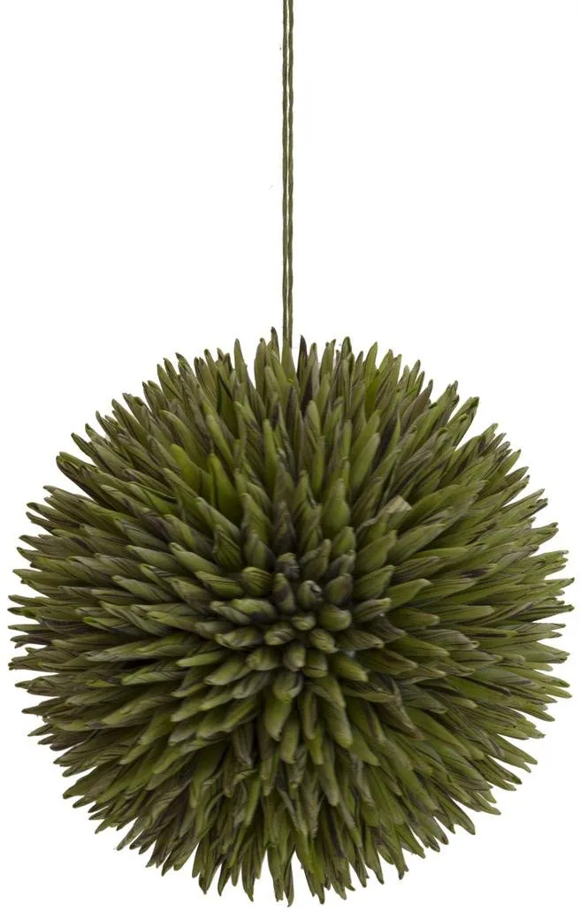 EUROPALMS Sukkulenten Kugel (EVA), grün, 20cm