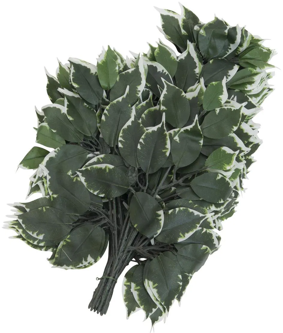 EUROPALMS Ficuszweig 12x