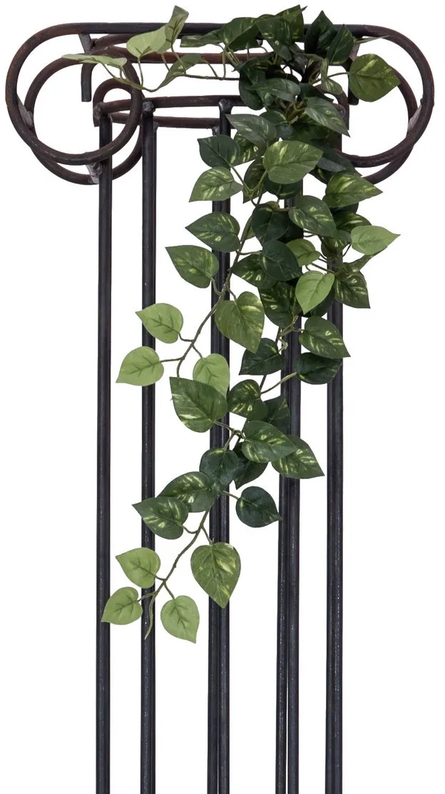 EUROPALMS Pothosbuschranke Classic, 70cm