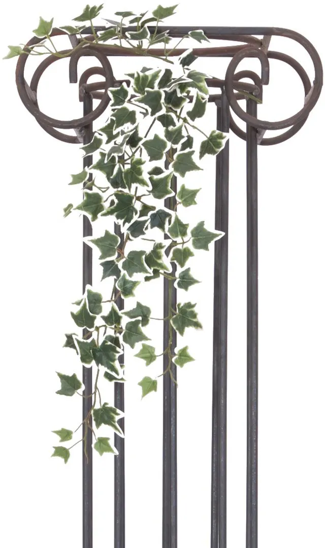 EUROPALMS Holland-Efeubuschranke Classic, 70cm