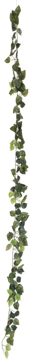EUROPALMS Pothosgirlande Classic, 180cm