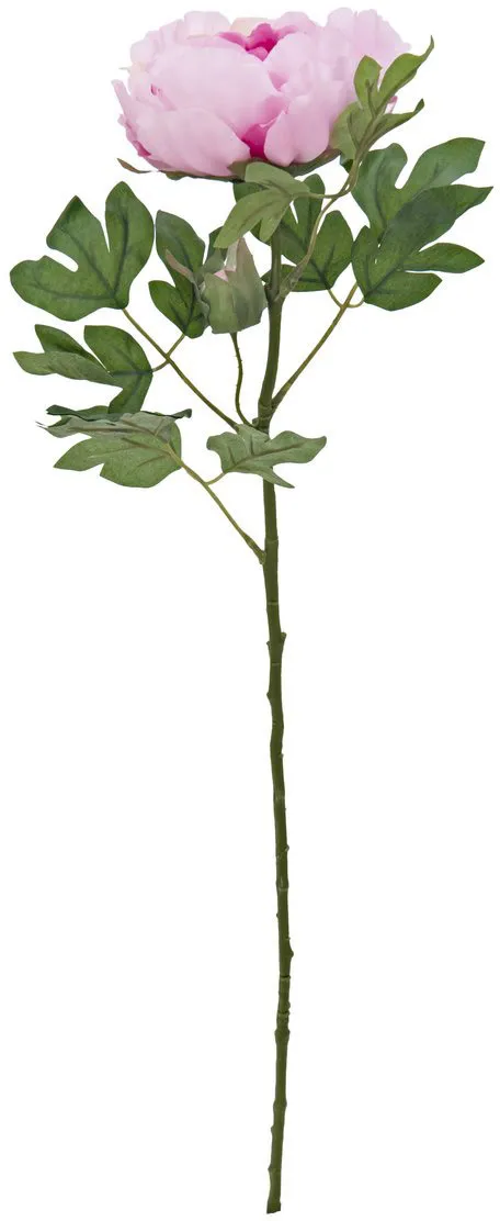 EUROPALMS Pfingstrosenzweig Classic, pink, 80cm