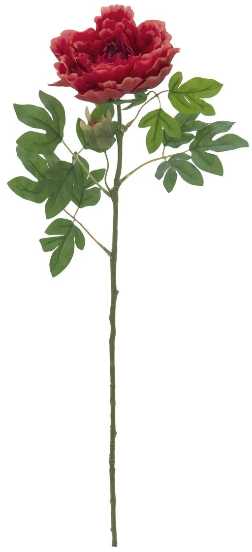 EUROPALMS Pfingstrosenzweig Classic, magenta, 80cm