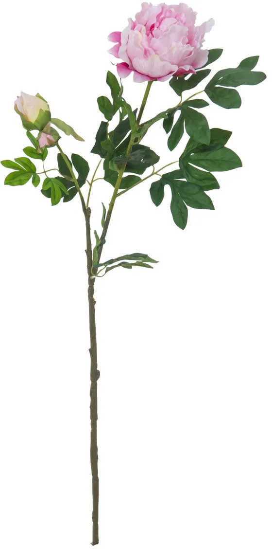 EUROPALMS Pfingstrosenzweig Premium, pink, 100cm