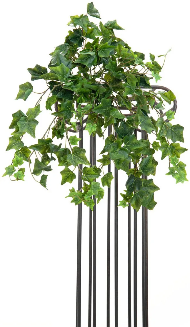 EUROPALMS Efeubuschranke Premium, 50cm