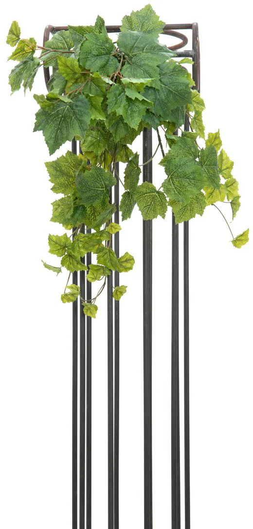 EUROPALMS Weinbuschranke Premium, 50cm