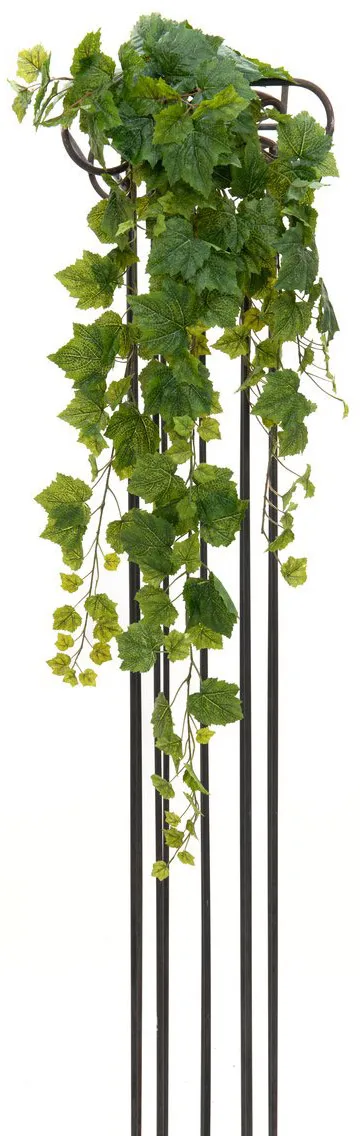 EUROPALMS Weinbuschranke Premium, 100cm