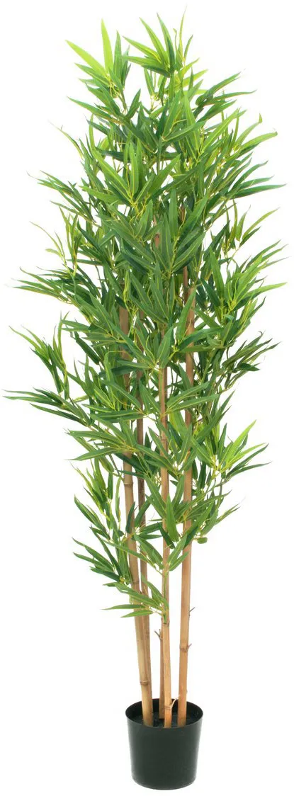 EUROPALMS Bambus deluxe, Kunstpflanze, 150cm