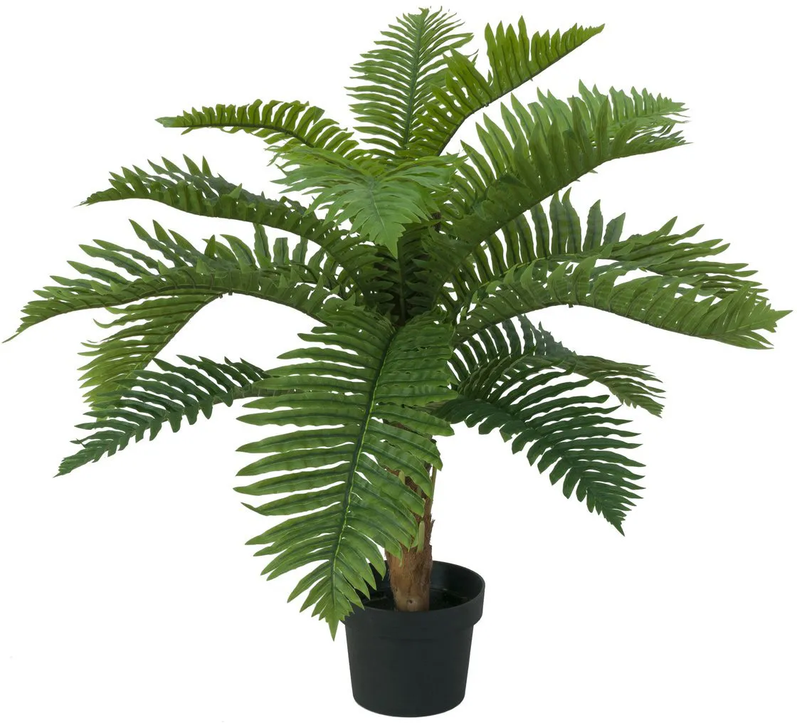 EUROPALMS Cycas Palme, Kunstpflanze, 70cm