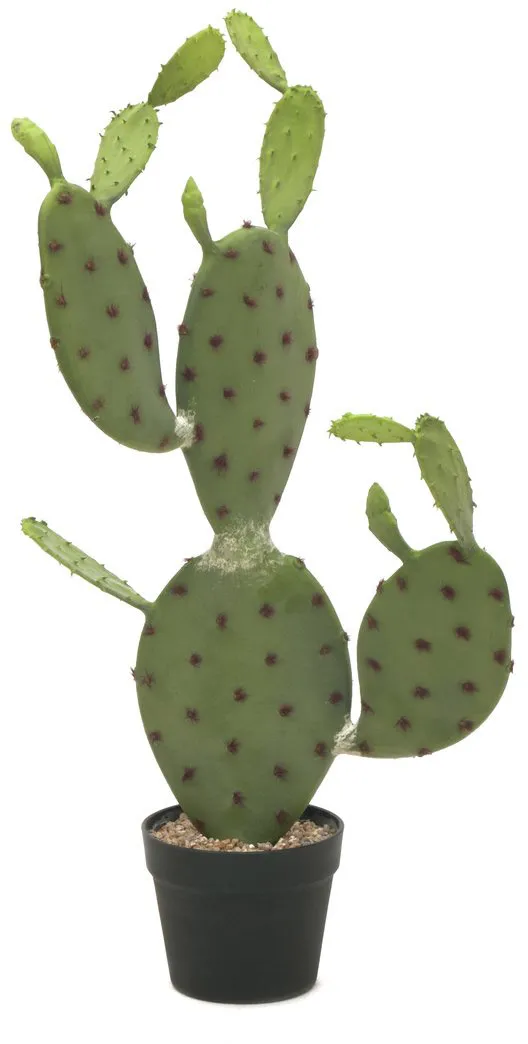 EUROPALMS Blätterkaktus, Kunstpflanze, 75cm