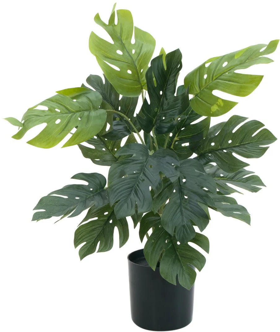 EUROPALMS Splitphilodendron, Kunstpflanze, 38cm