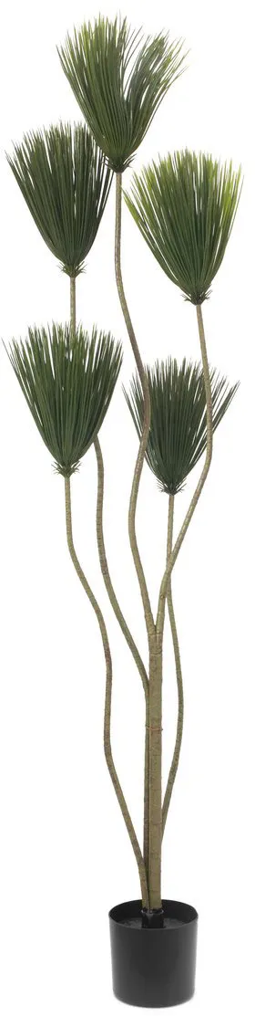 EUROPALMS Papyrus, Kunstpflanze, 130cm