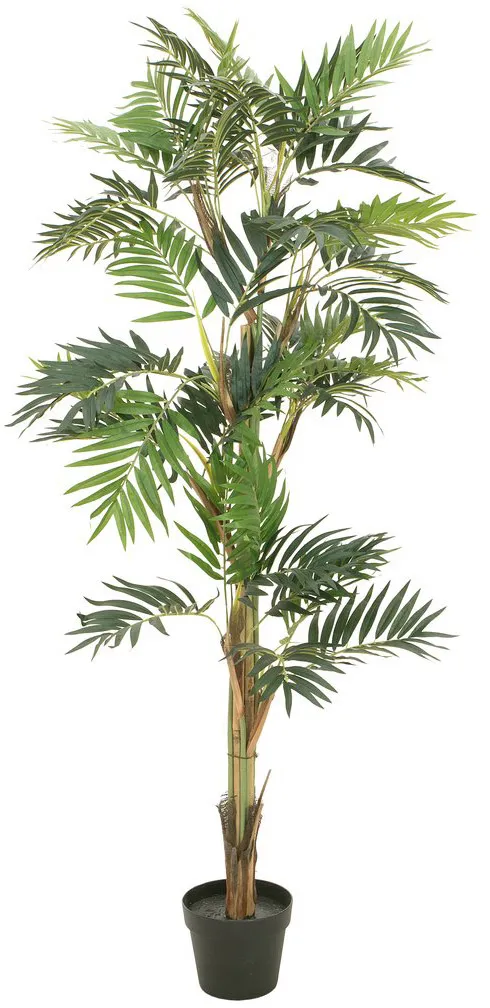 EUROPALMS Parlour Palme, Kunstpflanze, 150cm