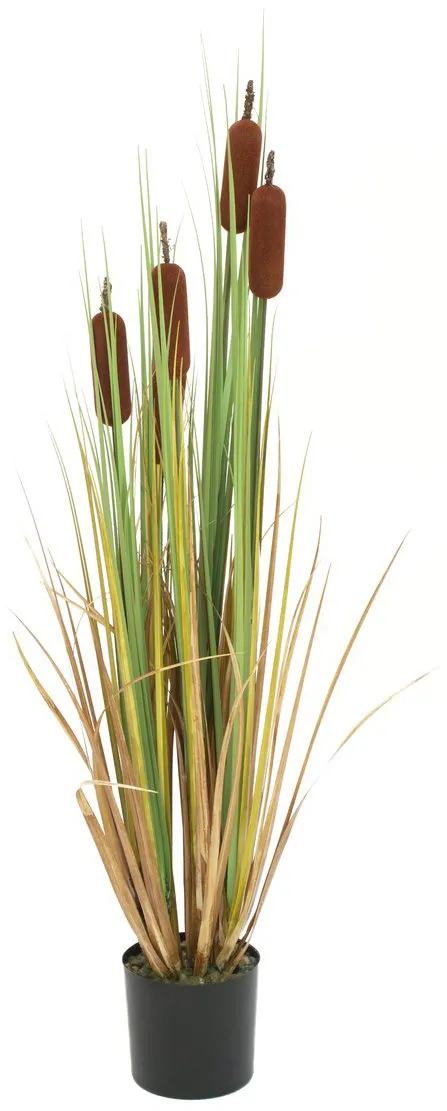 EUROPALMS Rohrkolben, Kunstpflanze, 150cm