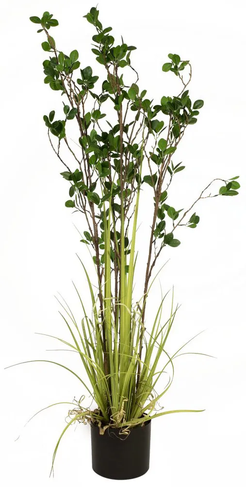 EUROPALMS Immergrünstrauch mit Gras, Kunstpflanze, 120 cm