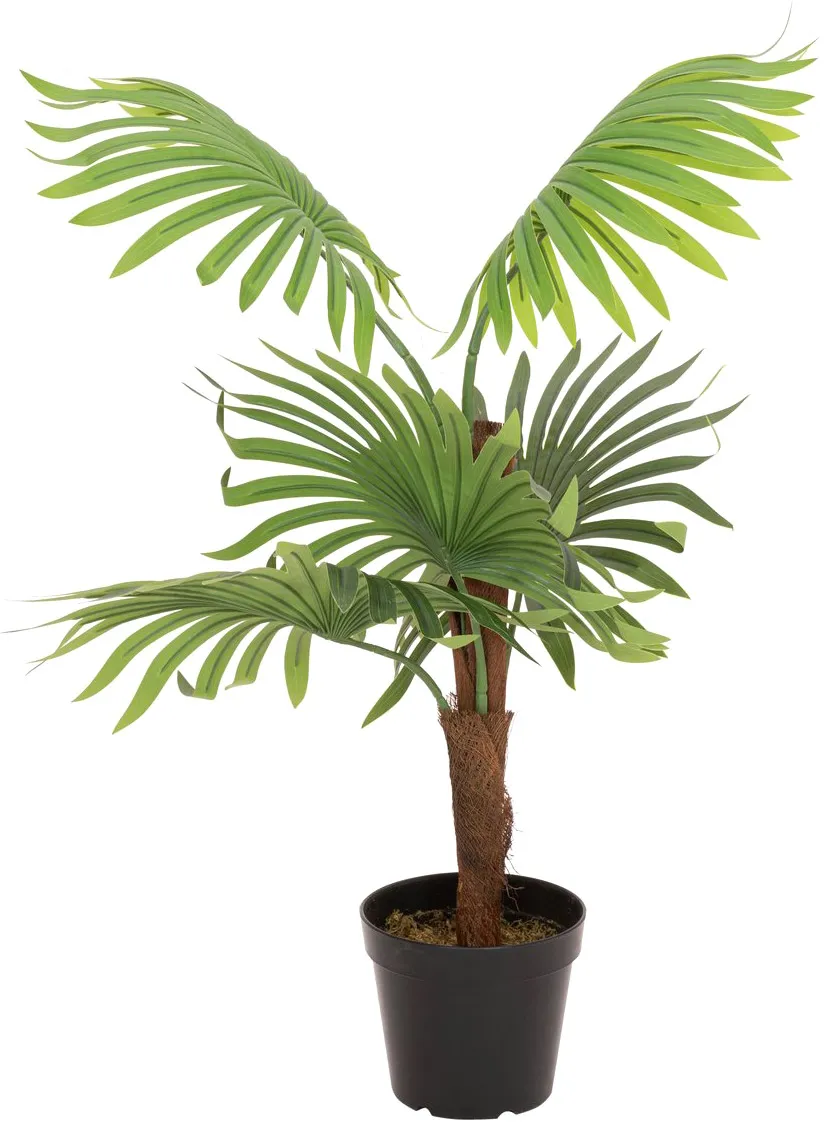 EUROPALMS Fächerpalme, Kunstpflanze, 88cm