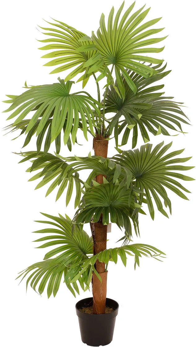EUROPALMS Fächerpalme, Kunstpflanze, 130cm