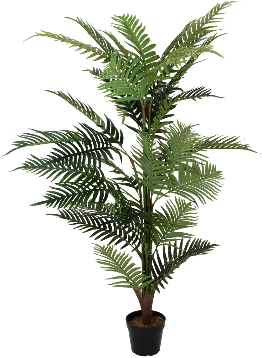 EUROPALMS Areca Palme, Kunstpflanze, 150cm