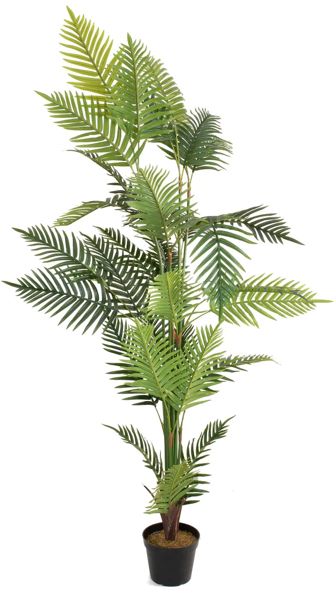 EUROPALMS Areca Palme, Kunstpflanze, 180cm