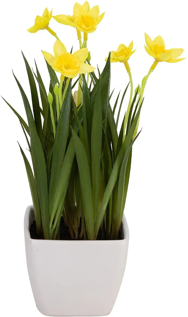 EUROPALMS Narzisse, Kunstpflanze, 23cm