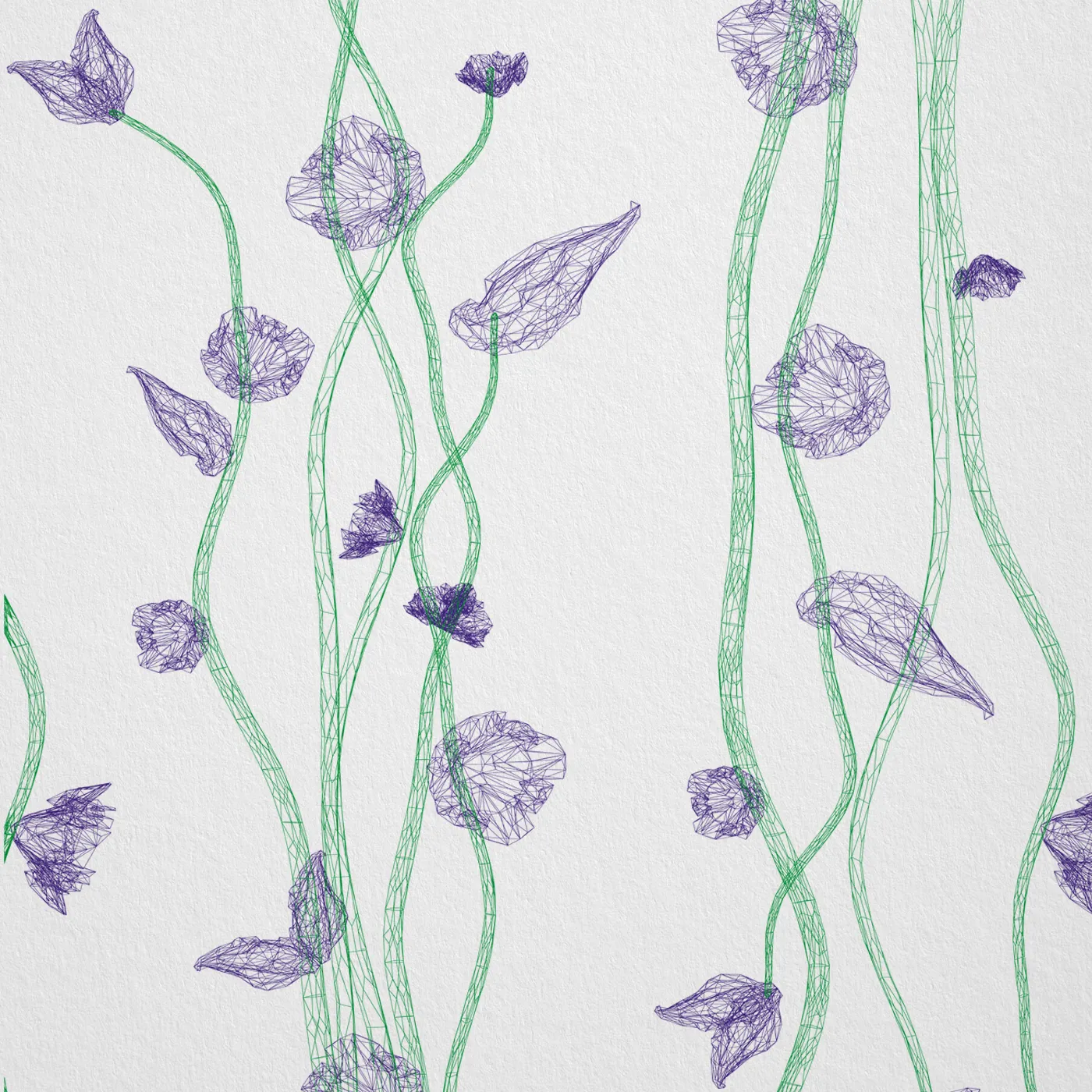 Kletternde Bougainvillea von MaVoix